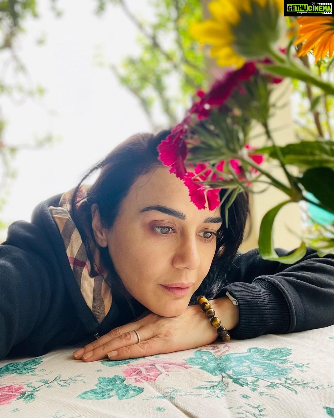 Preity Zinta Instagram - बस यूँ ही ❤️ #ting