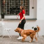 Priyanka Mondal Instagram - Doggy Love.......Thanks for the memories ❤️🐾🐶 📷 - @koustavdutta1712 🔗 - @rudrakshprnads #photo #photooftheday #photoshoot #streetphotography #kolkatastreets #kolkataphotography #doglover #petlovers #sansa #instagood #instamood #explorepage #foryou #instagram The Common Room