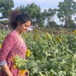 Priyanka Nair Instagram – Pookkal pookkum tharunam ♥️
#priyankanair #sunflower
