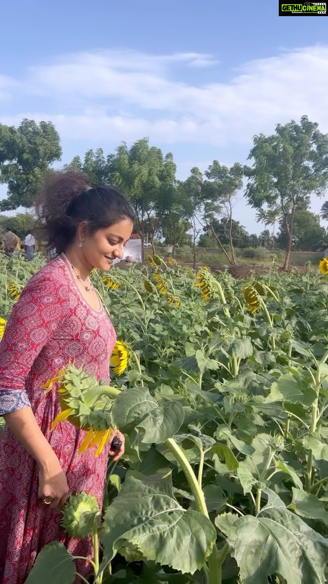 Priyanka Nair Instagram - Pookkal pookkum tharunam ♥️ #priyankanair #sunflower