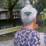 Priyanka Nair Instagram - Oo butterfly butterfly .. Real butterfly effect on Suma chechy’s head 😄😄 #commonbluebottle @_sumathefacechanger_ 📷 @priyankanairofficial 😁 #butterfly #priyankanair #instagramreel Chalakkudy