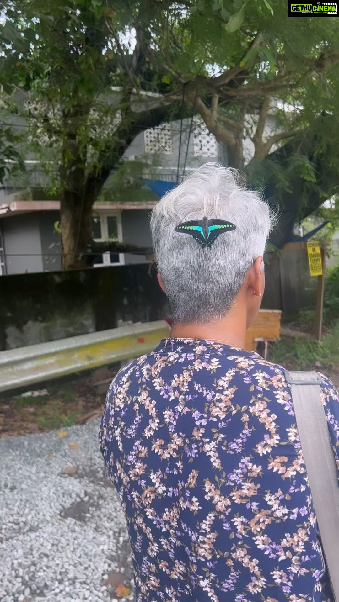 Priyanka Nair Instagram - Oo butterfly butterfly .. Real butterfly effect on Suma chechyโs head ๐๐ #commonbluebottle @_sumathefacechanger_ ๐ท @priyankanairofficial ๐ #butterfly #priyankanair #instagramreel Chalakkudy