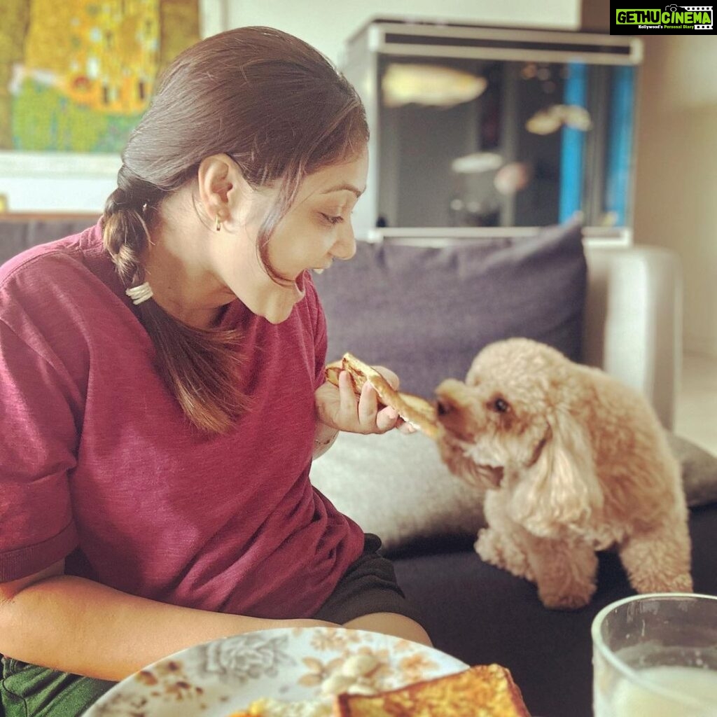 Priyanka Nalkari Instagram - #breakfast #withpandu #mylove #petlovers #favyummybreakfast #frenchtoast #sunnyside #soakedalmonds #buttermilk #cuteclick #happyhome #wifey #instagood #instadaily #instadaily #seetha #roja #actress #nalkarpriyanka