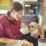 Priyanka Nalkari Instagram - #breakfast #withpandu #mylove #petlovers #favyummybreakfast #frenchtoast #sunnyside #soakedalmonds #buttermilk #cuteclick #happyhome #wifey #instagood #instadaily #instadaily #seetha #roja #actress #nalkarpriyanka