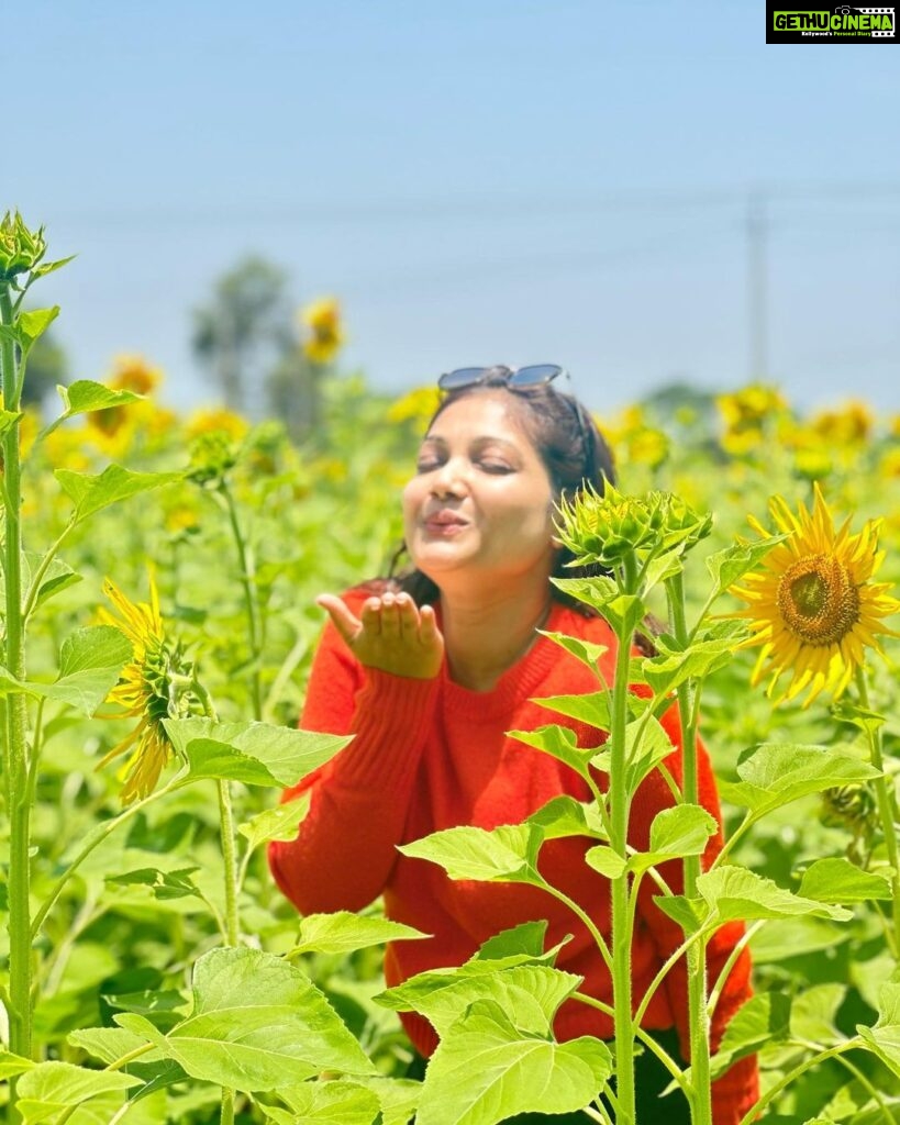Priyanka Nalkari Instagram - #sunflowers #farm #mysore #vacationmode #family #friends #holiday #mandatorypics #naturelovers #orangetop #instagood #instadaily #instalike #instagram Mysore, Karnataka