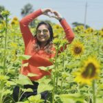 Priyanka Nalkari Instagram - #sunflowers #farm #mysore #vacationmode #family #friends #holiday #mandatorypics #naturelovers #orangetop #instagood #instadaily #instalike #instagram Mysore, Karnataka