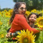 Priyanka Nalkari Instagram - #sunflowers #farm #mysore #vacationmode #family #friends #holiday #mandatorypics #naturelovers #orangetop #instagood #instadaily #instalike #instagram Mysore, Karnataka