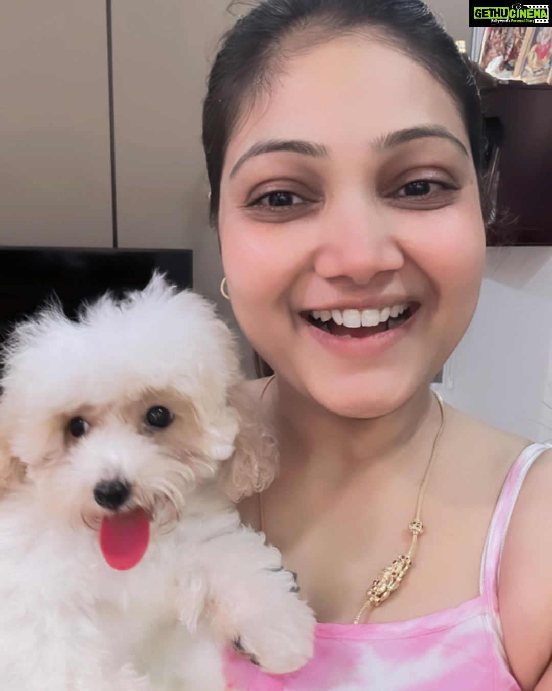 Priyanka Nalkari Instagram - #princesswithqueen #weboth #cute #nowwer4👨👩👧👧 #family #cutetoypoodle #whitepoodle #newfamilymember #girl #insta #instagram #instadaily #instamood #suggestnamesincomments 😊 #ihavechoosenonename #letseemyfriendswillguessmytaste🥰