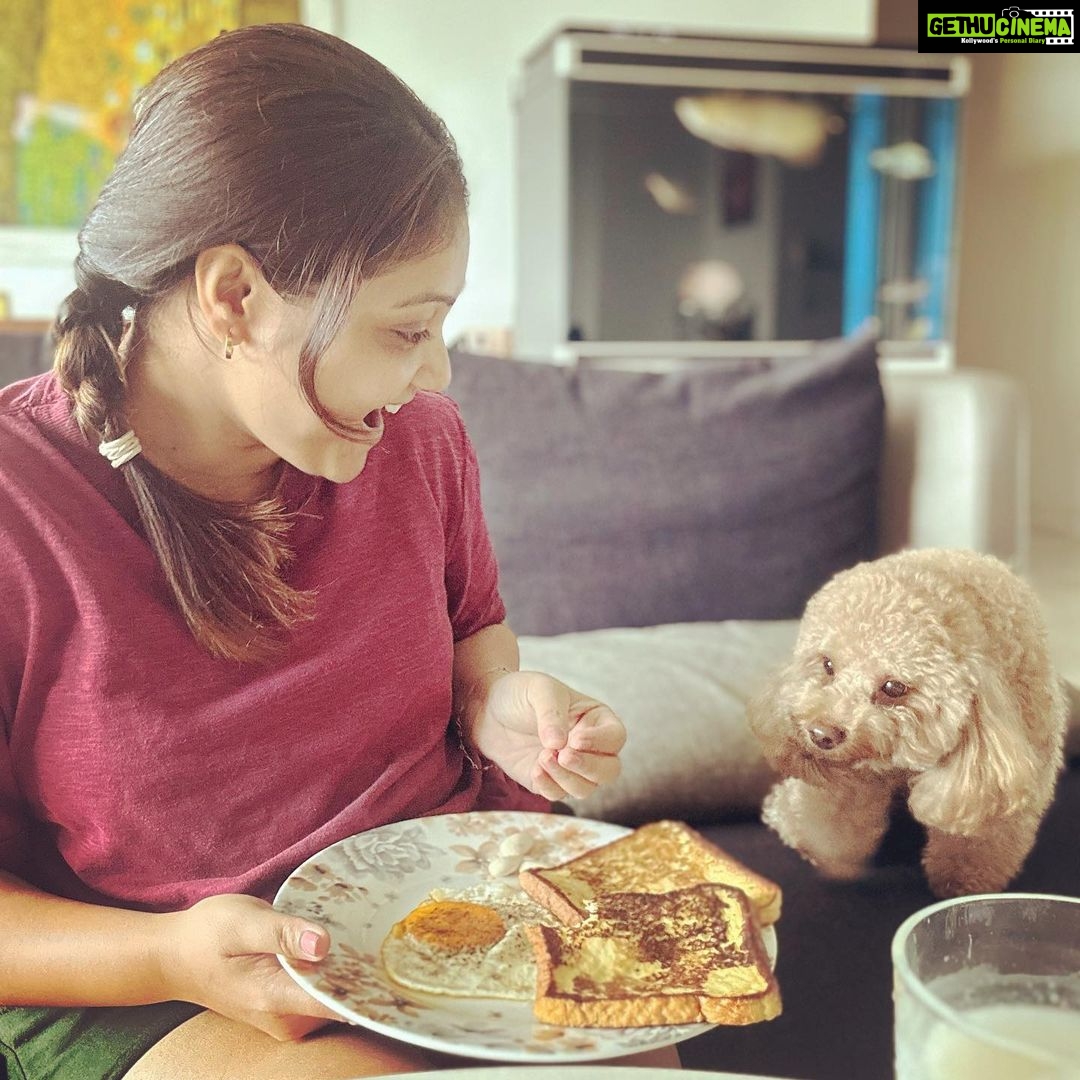 Priyanka Nalkari Instagram - #breakfast #withpandu #mylove #petlovers #favyummybreakfast #frenchtoast #sunnyside #soakedalmonds #buttermilk #cuteclick #happyhome #wifey #instagood #instadaily #instadaily #seetha #roja #actress #nalkarpriyanka
