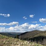 Punarnavi Bhupalam Instagram - We started our 8-day trip to Colorado through a statutory town located in Southwest Colorado at the headwaters of the Rio Grande River called Creede. ‘City of Creede’ is a historic silver mining town nestled in the heart of the San Juan Mountains. From the white settlers banishing Ute and Apache from their land to the rise and fall of silver mines in the 18th century. This mountain town has lived through all the possible drama. While I was strolling through the town I found myself in a 45-year-old gallery of treasures called rare things and that’s where I met Jennifer J. Inge, a jeweller who doesn’t confine herself as just a jeweller but uses jewellery as one facet of her sculptural expression. Jennifer showed me a neckpiece she made with black horse hair, silver and amethyst. I was sold when I saw it and so I wore it upon the mountains every day. Hopefully one day I will pass this on to my next of kin. Have you ever wondered what you will be leaving for your future generation? Creede, Colorado