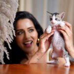 Raiza Wilson Instagram - You mess with the meow meow you get the peow peow 🥊