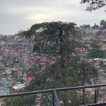 Raiza Wilson Instagram - @gtholidays.in Shimla