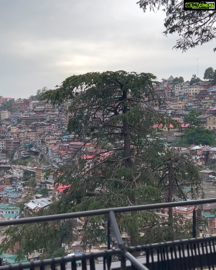 Raiza Wilson Instagram - @gtholidays.in Shimla