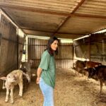 Raiza Wilson Instagram - 🐮