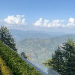 Raiza Wilson Instagram - 🤍 Shimla