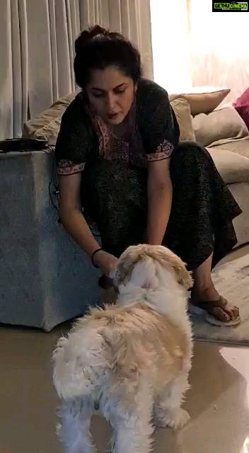 Ramya Krishnan Instagram - Some times they literally behave like babies #dogsofinstagram #doglover #mypet #lovemypets #unconditionallove