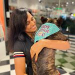 Ramya Pandian Instagram - I had no inkling that my bond with puppies will become so intact until this bomb of love barged into my life ♥️… Her innocent face, the way it misses my absence, welcoming me home, it’s clingy nature, even my kindred cannot dare to touch my possession is the extent of her guardianship, her demeanor in becoming my bed-sharer, I can go on and on but stopping it here for the sake of stopping. In a nutshell, she is an epitome of endearment and an affable companion 🐶… Feeling head over heels in love. Thanks for bringing her home, into my life♥️ and vice versa😜 @sundari_designer #chanel #myamuluuuus #frenchie