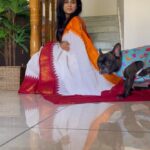 Ramya Pandian Instagram - I had no inkling that my bond with puppies will become so intact until this bomb of love barged into my life ♥️… Her innocent face, the way it misses my absence, welcoming me home, it’s clingy nature, even my kindred cannot dare to touch my possession is the extent of her guardianship, her demeanor in becoming my bed-sharer, I can go on and on but stopping it here for the sake of stopping. In a nutshell, she is an epitome of endearment and an affable companion 🐶… Feeling head over heels in love. Thanks for bringing her home, into my life♥️ and vice versa😜 @sundari_designer #chanel #myamuluuuus #frenchie
