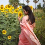 Ramya Pandian Instagram – “Making the most of the wedding decor… sunflowers and me.” 🌻

#lifeisbeautiful #positivevibes #happydays Tirunelveli