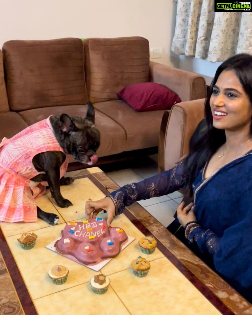 Ramya Pandian Instagram - Sharing birthdays with my favourite Leo - Chanel 🫶♥🐾 #ramyapandian #frenchie #birthday