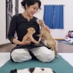Ramya Subramanian Instagram - Just wanted to start your week with a smile and some cuteness !😍♥️ My weekend was this 😍🥰 ….. Puppy love @pawga_