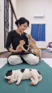 Ramya Subramanian Instagram - Just wanted to start your week with a smile and some cuteness !😍♥️

 My weekend was this 😍🥰 ….. Puppy love @pawga_
