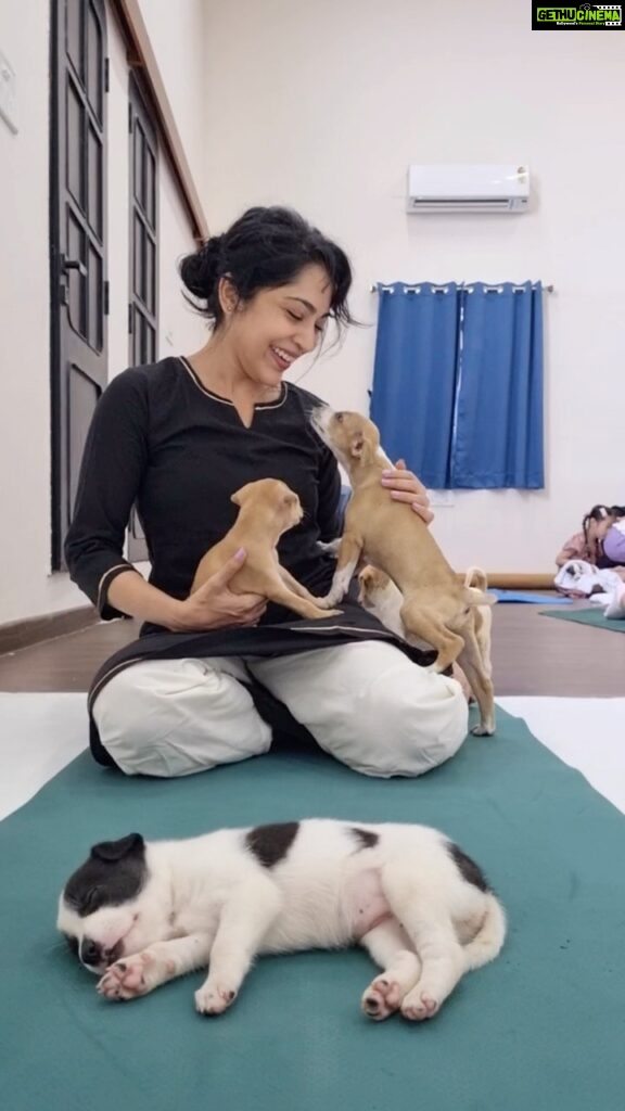 Ramya Subramanian Instagram - Just wanted to start your week with a smile and some cuteness !😍♥ My weekend was this 😍🥰 ….. Puppy love @pawga_