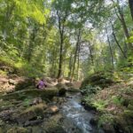 Ranjini Haridas Instagram - Mullerthal ,Luxembourg . #hiking #trek #trail #spotme #ranjiniharidas