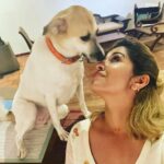 Ranjini Haridas Instagram - My “Happy” space .❤️ @happyoldharbour #meethappy #oldharbourhotel #fortcochin #mylovefordogs #adoptdontshop