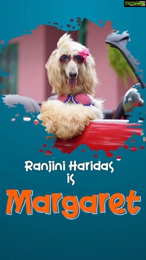 Ranjini Haridas Instagram - STARS of VALATTY ๐ฌ Meet MARGARET - The English teacher ๐ถ๐ถ๐ถ @actor_vijaybabu @they_when @vinovember11 @dop_vishnu @rohinimolleti @actorindrans @roshan.matthew @raveena1166 @ajuvarghese @soubinshahir @ayoobkha_n @varun.sunil @sunnywayn @mahima_nambiar @devmohanofficial @akshay_radhakrishnan @g1_anand @saijukurup @naslenofficial @surabhi_lakshmi @ronexxavier4103 @justinjosecas @shibu_producer @arunvenjaramoodu00 @afilmyguy @sangeeth_p_rajan @jithin.fancy.joz @vishnu_s_rajan @deepunavaikulam.official @sureshtheactor @ranjini_h . #mollywood #movie #pet #dog #valatty #hindi #tamil #malayalam #telugu #kannada #trending #film #release