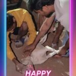 Rashmi Gautam Instagram - This International Dog Day, let's pledge to safely discard plastic jars & other toxic materials which cause harm and distress to the animals around us! 🐶🎉 Celebrate the unconditional love and joy that our furry friends from the streets bring into our lives. And Embrace the beauty of Indian dogs! 🇮🇳🐕 These incredible indigenous Indian breeds are known for their resilience and loyalty. They are a part of our heritage and deserve all the love and care. ▶️ Share your stories, showcase your Indian dogs and their unique actions, and promote adoption to give these furries a forever home. Let's cherish and protect our own furry treasures! #LoveIndianDogs #Adoptdontshop #InternationalDogDay