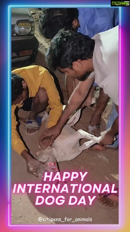 Rashmi Gautam Instagram - This International Dog Day, let's pledge to safely discard plastic jars & other toxic materials which cause harm and distress to the animals around us! ๐ถ๐ Celebrate the unconditional love and joy that our furry friends from the streets bring into our lives. And Embrace the beauty of Indian dogs! ๐ฎ๐ณ๐ These incredible indigenous Indian breeds are known for their resilience and loyalty. They are a part of our heritage and deserve all the love and care. โถ๏ธ Share your stories, showcase your Indian dogs and their unique actions, and promote adoption to give these furries a forever home. Let's cherish and protect our own furry treasures! #LoveIndianDogs #Adoptdontshop #InternationalDogDay