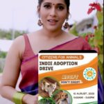 Rashmi Gautam Instagram - @citizens_for_animals all the best for the adoption drive Indians adopt Indies #happyindependenceday🇮🇳 #vocalforlocal #adoptdontshop @thepallushop