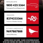 Rashmi Gautam Instagram -