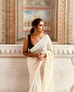 Rebecca Santhosh Instagram - Jaipur series ✨
.
.
.
Saree : Amma’s wardrobe 😋