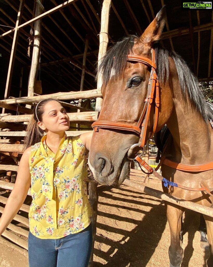 Reshma Rathore Instagram - #HorseLove 🤎🐎 #reshmarathore