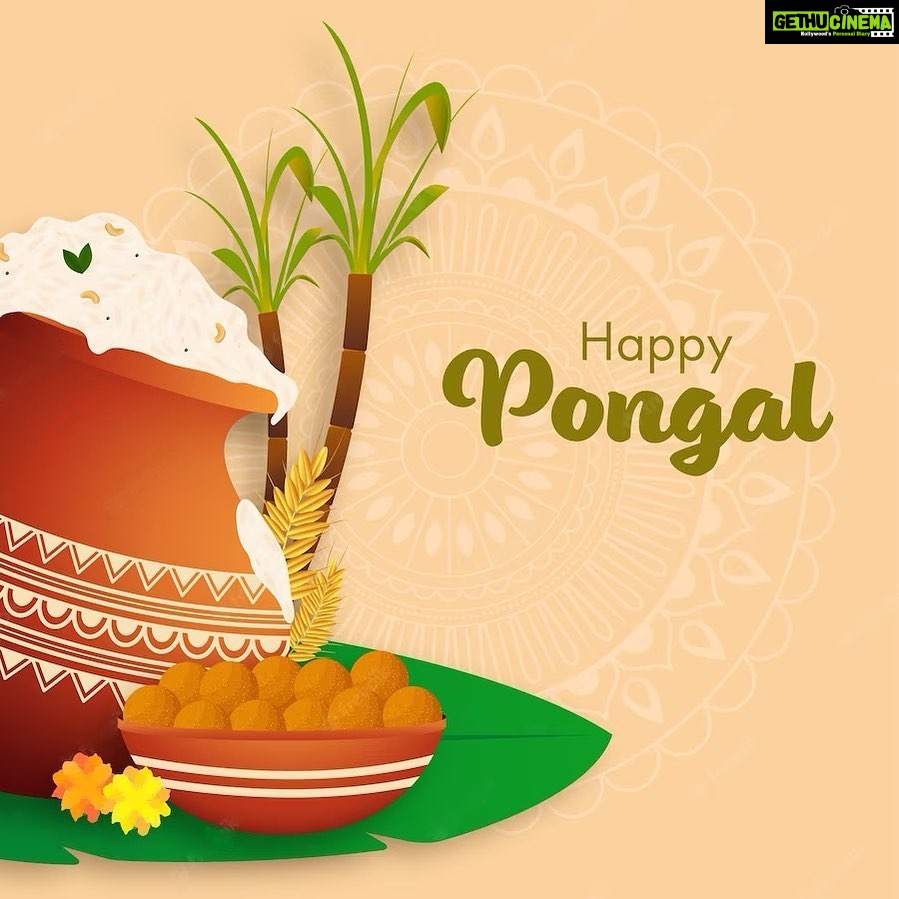 Reshma Rathore Instagram - Wishing everyone a very happy, prosperous, healthy and wealthy pongal. #happypongal2023🌾🐄🛖🥥🌴🌞🔥 #iniyapongalvalthukkal 🌼