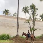 Reshma Rathore Instagram – Let’s go Horse Riding ! 🏇🌦️🫶🌴
#reshmarathore #saddledupandrodeaway #horsetrotting #keepingdreamsalive #pushingthelimits #happierindividual #sports #adventure #horseofinstagram #workout