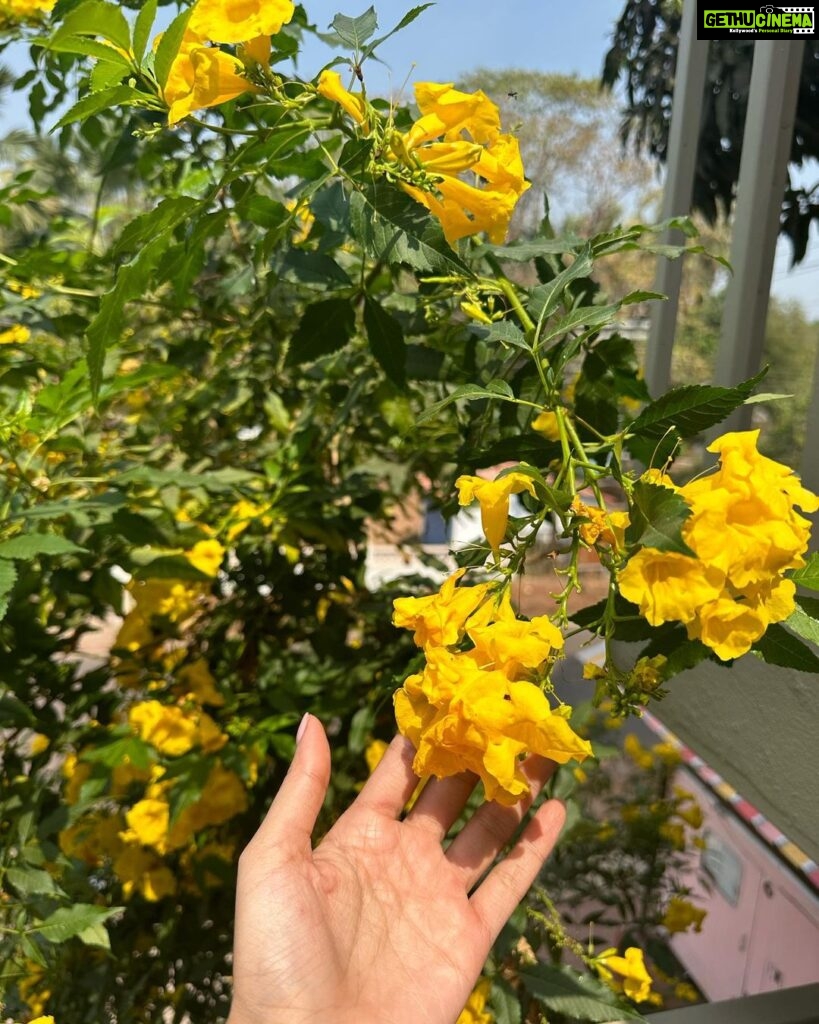 Rhea Chakraborty Instagram - Happy things 🌸🌈🫶🏼 #rhenewed
