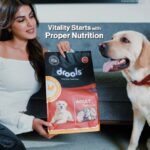 Rhea Chakraborty Instagram - It’s so important to make sure that your dog is eating healthy & getting all the right nutrients. Drools Daily Nutrition is made with 100% Real Chicken and Eggs, & zero by-products. This delicious everyday meal enhances your dog’s activity levels, facilitates healthy bones, muscles and teeth, while boosting their immune & digestive systems! Grab a pack of real goodness with @droolsindia ! ❤️🐾 #droolsindia #pets #petparents #dogs #dogfood #petfood
