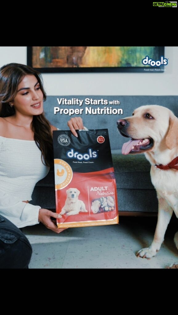 Rhea Chakraborty Instagram - It’s so important to make sure that your dog is eating healthy & getting all the right nutrients. Drools Daily Nutrition is made with 100% Real Chicken and Eggs, & zero by-products. This delicious everyday meal enhances your dog’s activity levels, facilitates healthy bones, muscles and teeth, while boosting their immune & digestive systems! Grab a pack of real goodness with @droolsindia ! ❤️🐾 #droolsindia #pets #petparents #dogs #dogfood #petfood