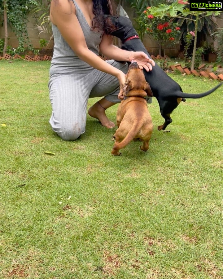 Roshni Prakash Instagram - Season of bondings, babies and bliss ðŸ’
