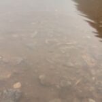 Roshni Prakash Instagram – A trip down memory rain.. 🦋 Chikmagalur