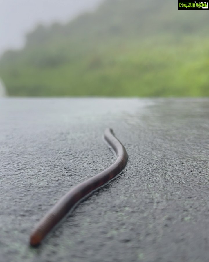 Roshni Prakash Instagram - A trip down memory rain.. 🦋 Chikmagalur