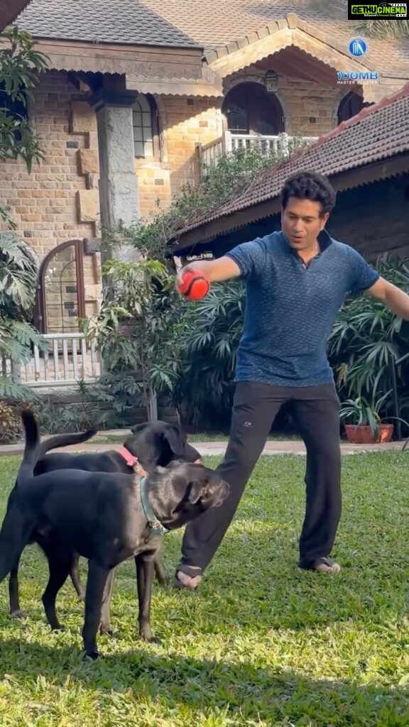 Sachin Tendulkar Instagram - A house isn’t a home without these two! 🐶 🐾 #dogsofinstagram #funtime #doglover #petstagram