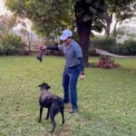 Sachin Tendulkar Instagram - Nothing feels better than goofing around the park with my buddy. ♥️🐶