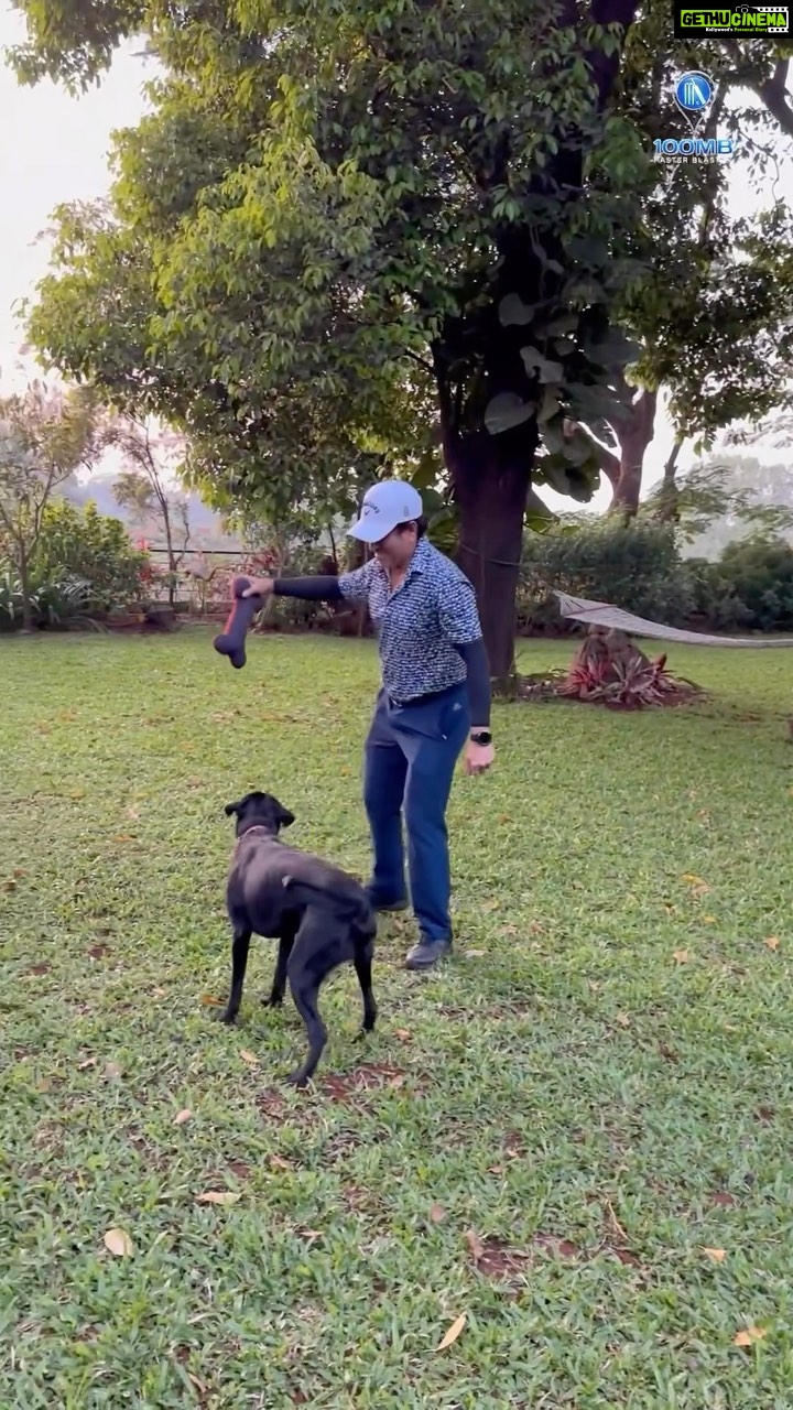 Sachin Tendulkar Instagram - Nothing feels better than goofing around the park with my buddy. ♥️🐶
