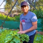 Sachin Tendulkar Instagram - इन सब्जियों के नाम इस्तेमाल करके आप कितने वाक्य बना सकते हैं? मैने बनाया: उम्मीद है कि भारतीय बल्लेबाज दूसरी टीमों के गेंदबाजों का भरता बनाते रहें! #veggies #vegetablegarden
