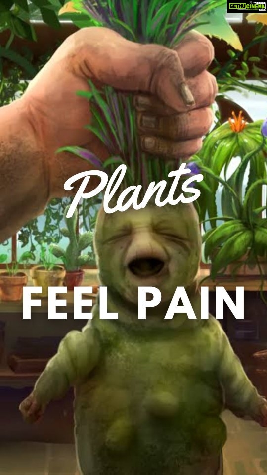 Sadha Instagram - But what about plants? Don’t plants feel pain? Mumbai, Maharashtra