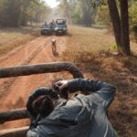 Sadha Instagram - My most favourite picture of me in the jungle, while photographing my most beloved tigress Maya! 💚🧿 To have an image with HER in the same frame is PRECIOUS..🥹#worldphotographyday #moment Thank you @wildnikhil for being so thoughtful! 🙏 #wildlifephotography #sadaa Tadoba - Andhari Tiger Reserve